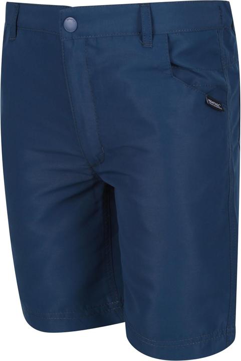 Actual product image Regatta Sorcer Ii Shorts (146)