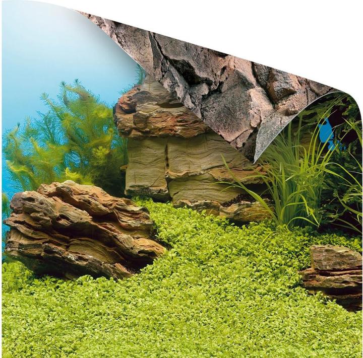 Image du produit Juwel Aquarium Photo de couverture 1 imprimée sur les deux faces (Panneau arrière, autres éléments)