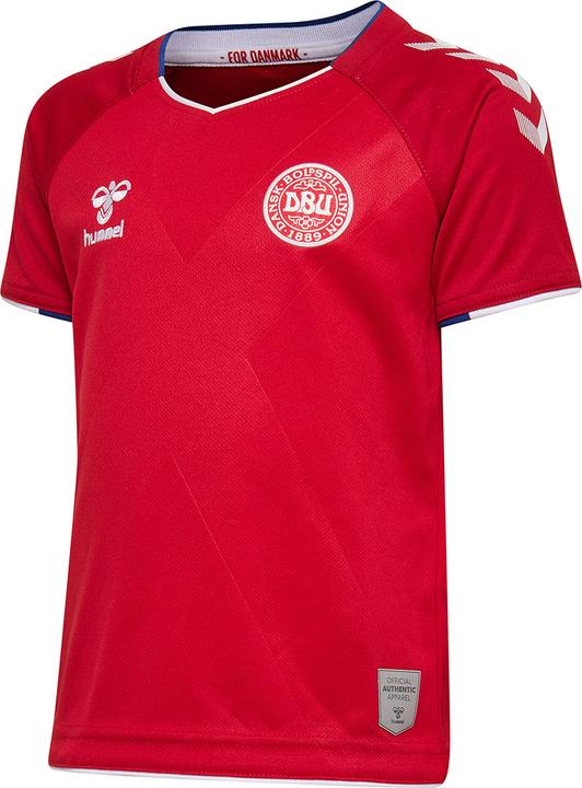Image du produit hummel Danemark Jeu de maillots pour jeunes enfants Coupe du monde (68)