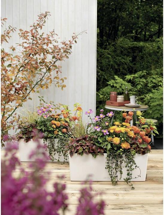 Produktbild Lechuza Balconera Color (19 cm)