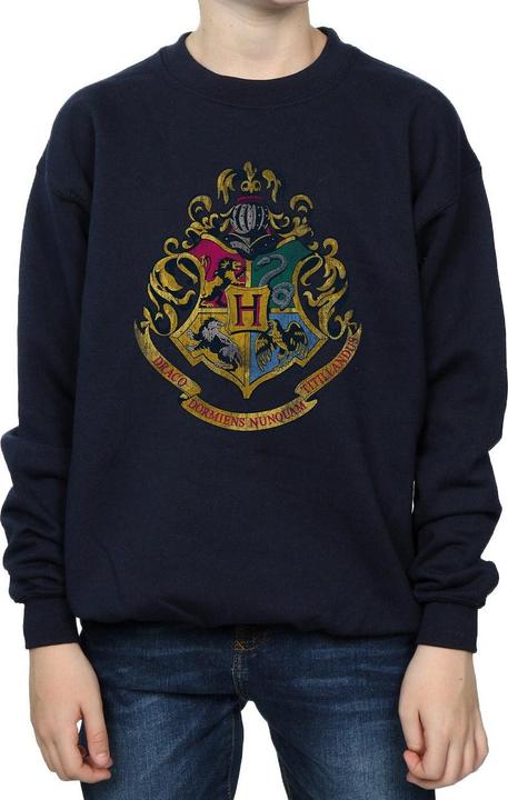 Sweatshirt Jungen
