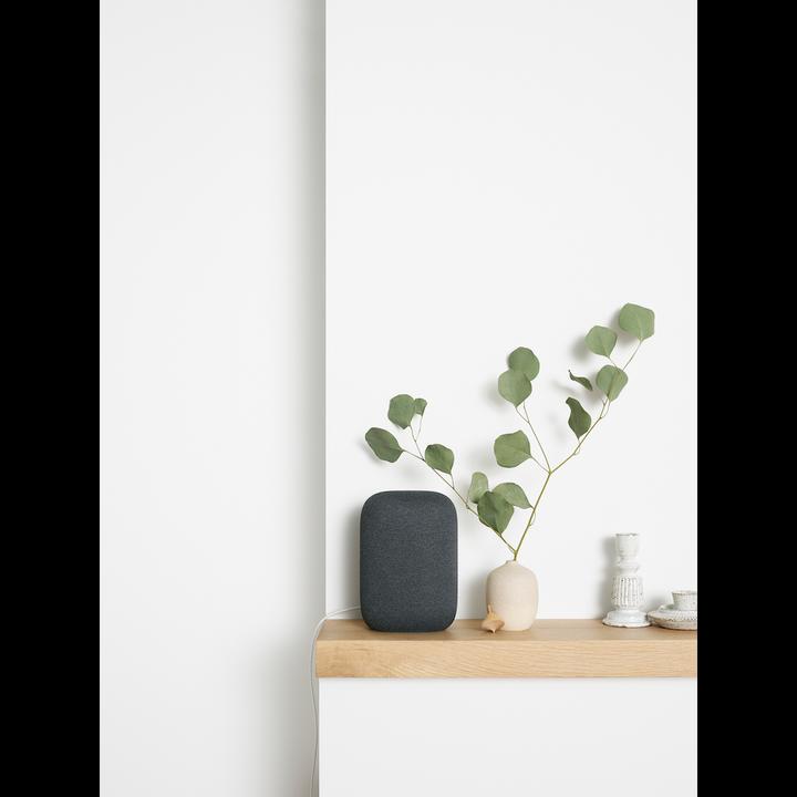 Immagine prodotto Google Nido Audio (Google Assistant)