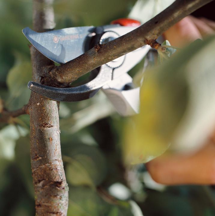 Immagine prodotto Gardena Premium BP50