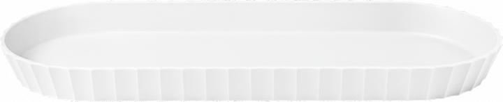 Arctic White