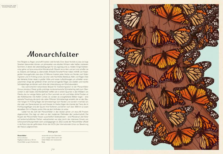 Produktbild Das Museum der Insekten (Deutsch, Emily Carter, Dave Goulson, 2024)