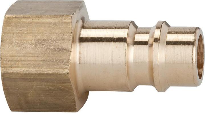 Immagine prodotto Riegler 107241 Nipplo per prese I.D. 7.2-7.8, ottone nudo, G 1/8 IT (Aggancio, 198.12 mm)