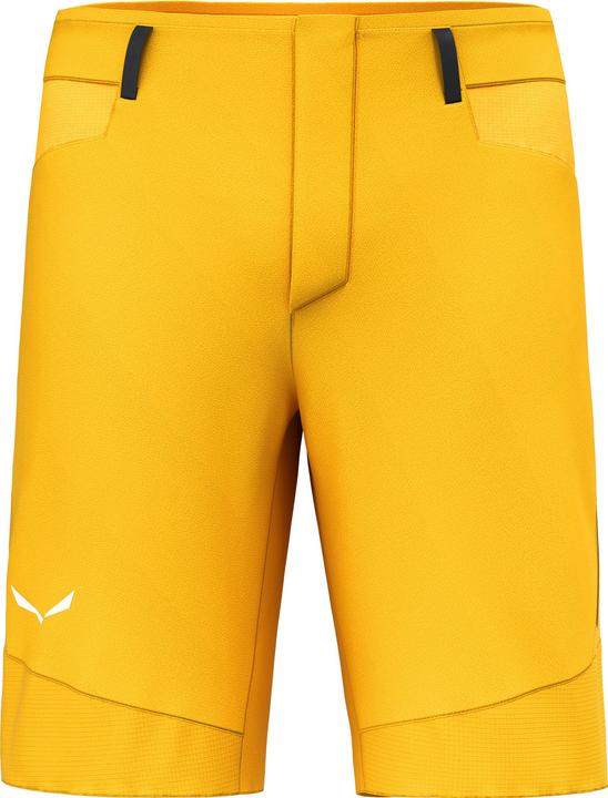 Salewa Agner DST Shorts