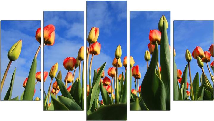 Produktbild Wallxpert Bodie (20 x 60 cm, 20 x 50 cm, 20 x 40 cm, 110 x 60 cm)