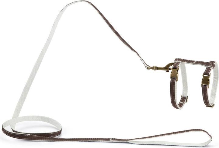 Designed by Lotte Virante (45, Katze, Spazieren)