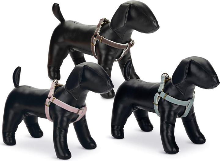 Produktbild Designed by Lotte Virante (45, Hund, Spazieren)
