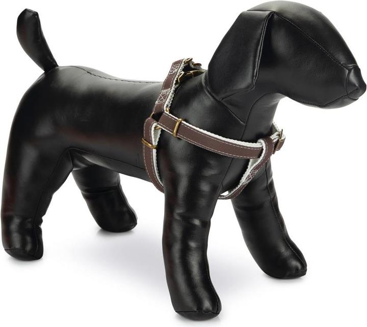 Produktbild Designed by Lotte Virante (45, Hund, Spazieren)