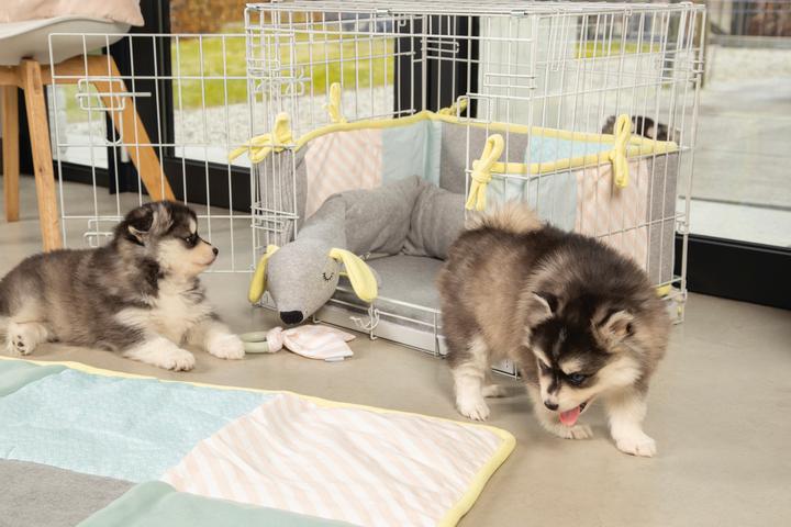 Image du produit Beeztees Cage pour chiots (Chien, Lavable, Réflecteurs)