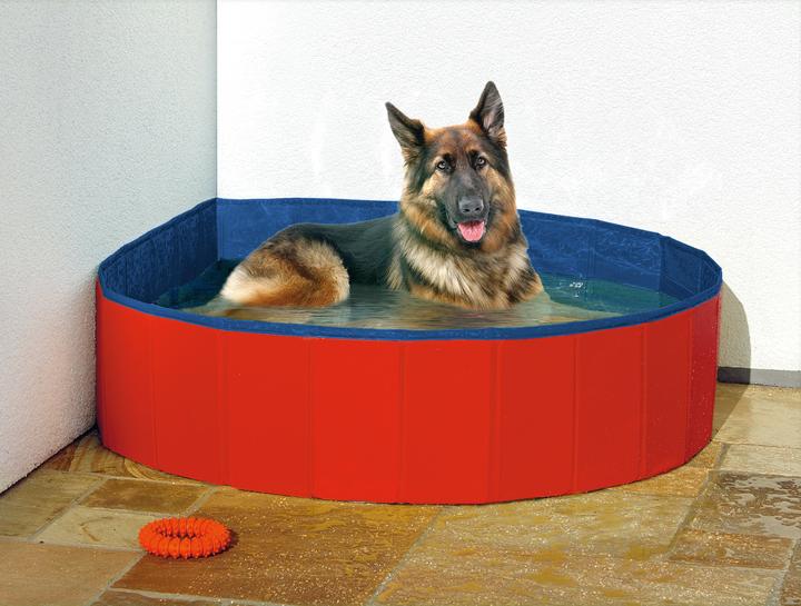 Actual product image Karlie Doggy (Dog pool)