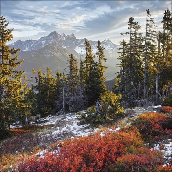 Produktbild Alpen 2026 (30 x 60 cm, Harter Einband, Französisch, Englisch)