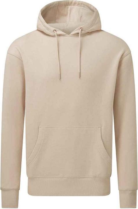 Produktbild Anthem Kapuzenpullover (XS)
