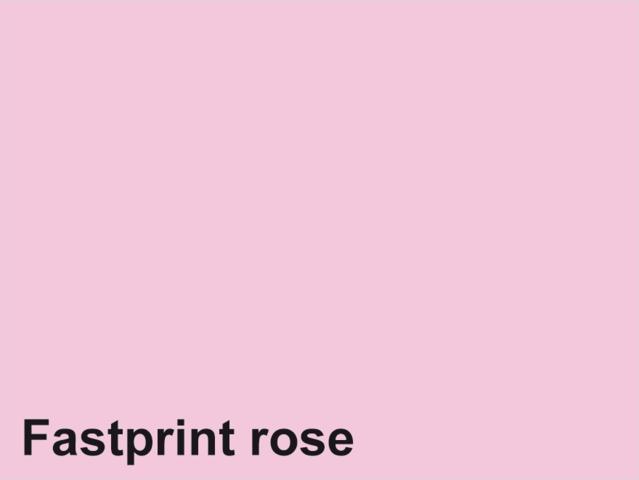 Quantore Fastprint A4 160gr rosa Kopierpapier 50 Blatt