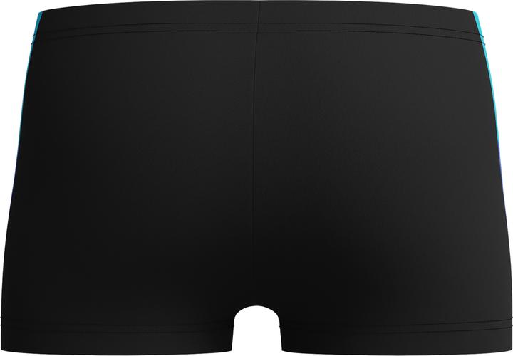 Actual product image Speedo Dive Aquashort (152)