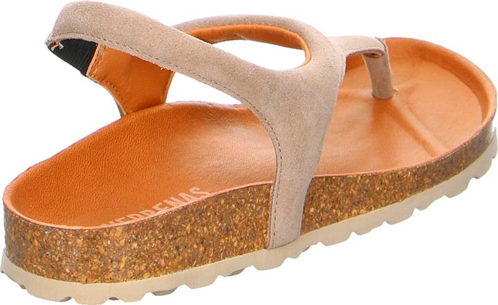 Actual product image Verbenas REAGAN Piedra (38)