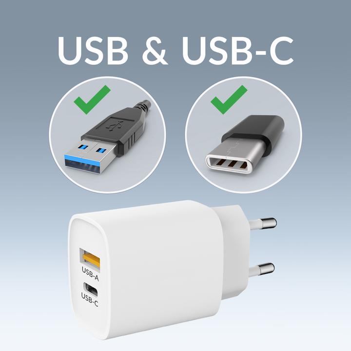 Produktbild Mobilize Reise-Ladegerät USB-C