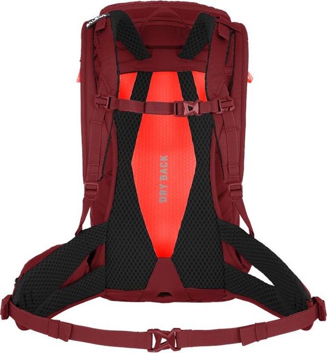 Produktbild Salewa Alp Trainer L Rucksack Da (20 l)