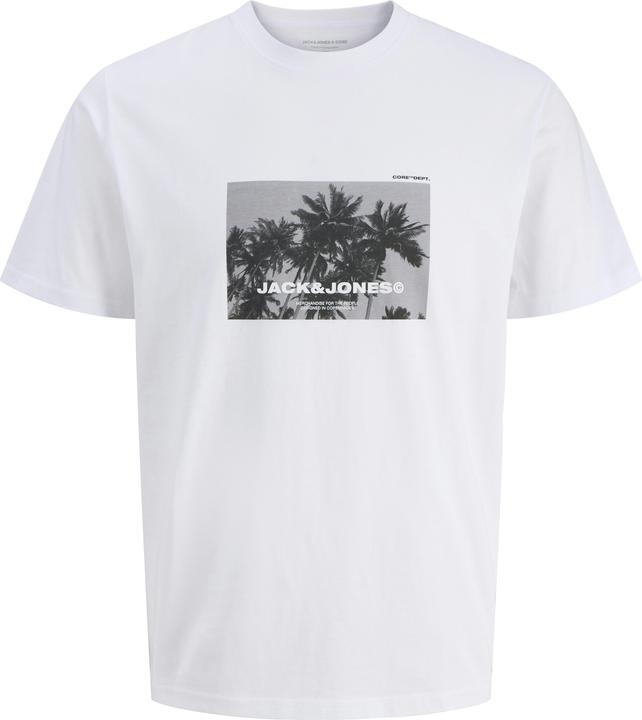 Jack & Jones Jcoversion Tee Ss Crew Neck Stydss25 (S)