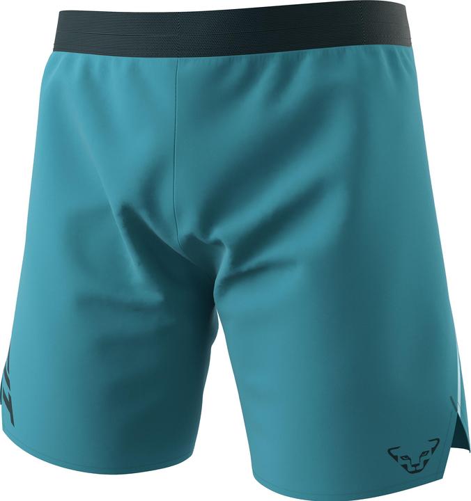 Dynafit Alpine Shorts (L)