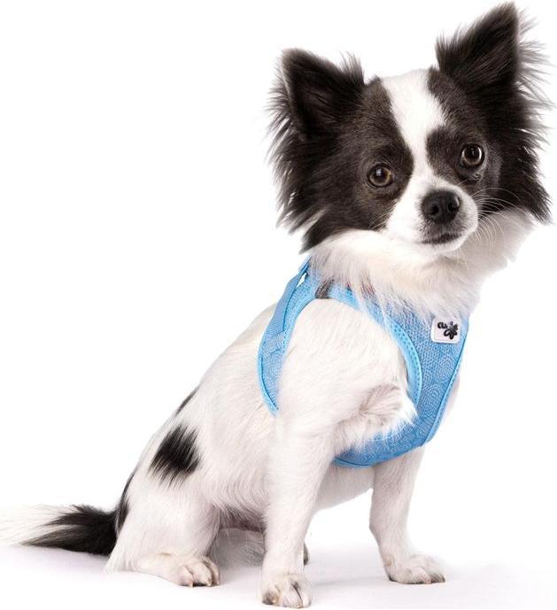 Produktbild Curli Geschirr Vest Air-Mesh XL SE24, Airblue (XL, Hund, Spazieren)