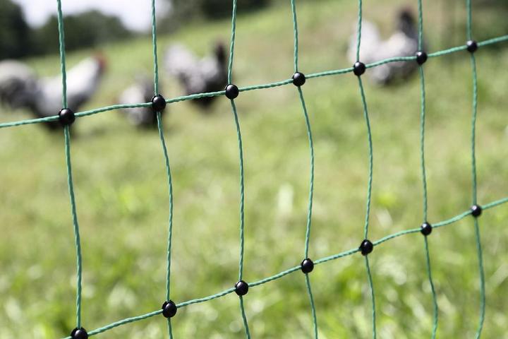 Image du produit Kerbl PoultryNet