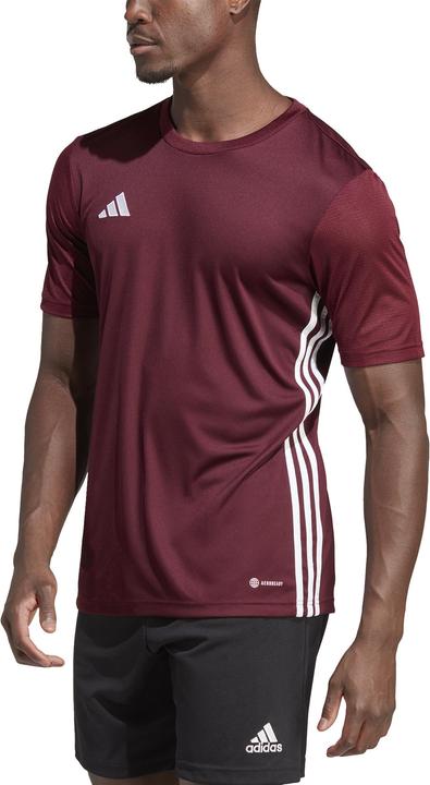 Immagine prodotto adidas Maglia Table 23 Uomo Borgogna IB4928 (L) (L)