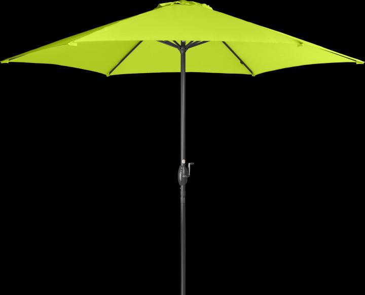 Actual product image Derby Basic Lift Neo (3 m)