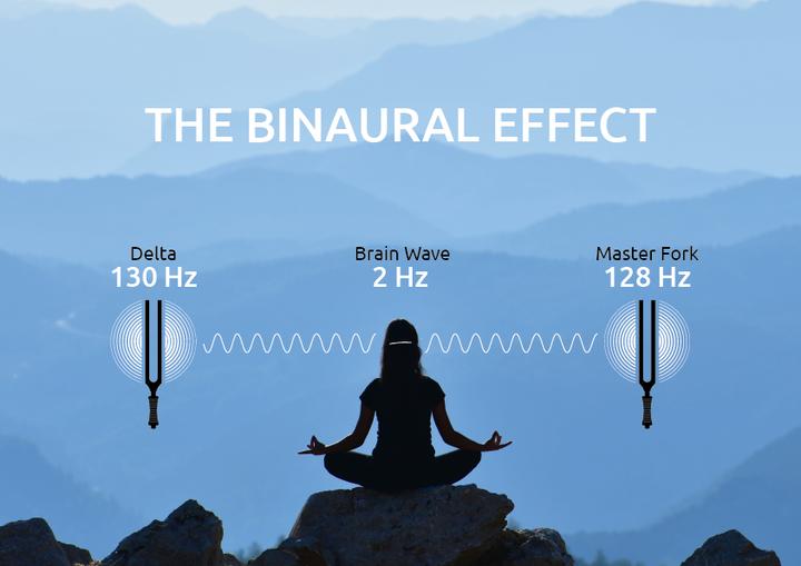 Image du produit Meinl Binaural Therapy Tunging Fork - Delta