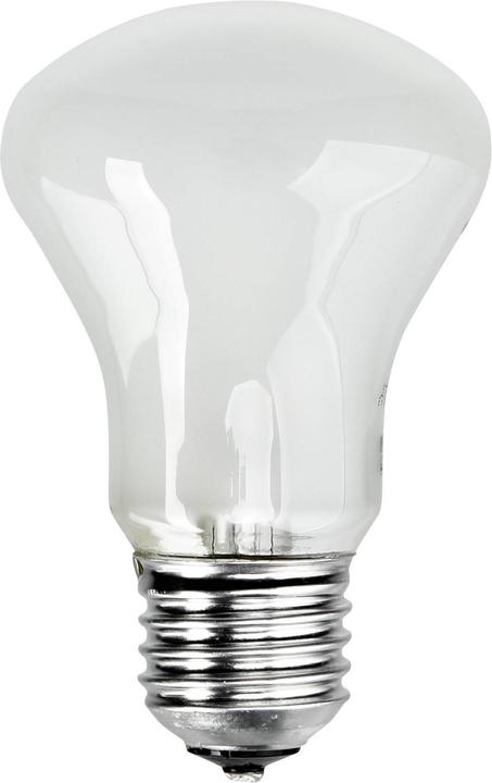 Produktbild Elinchrom Einstelllampe E23002