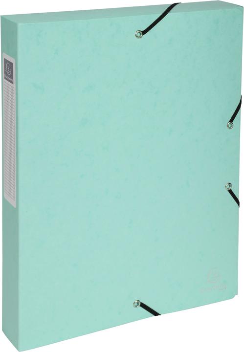 Actual product image Exacompta Archive boxes (A4)