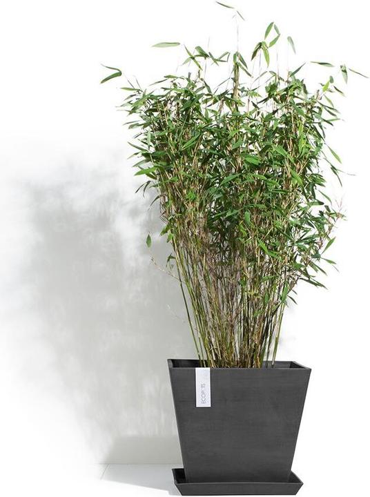 Produktbild Ecopots Saucer Rotterdam