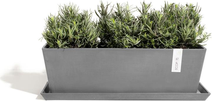 Produktbild Ecopots Saucer Rectangular