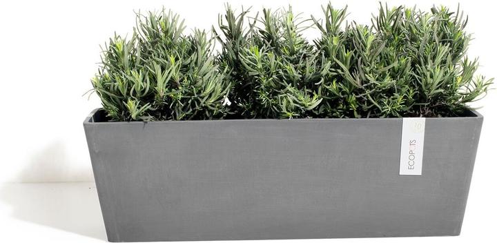 Ecopots Bruges