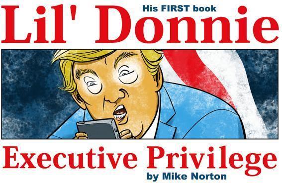 Lil/' Donnie Volume 1: Executive Privilege (Englisch, Mike Norton, 2018)