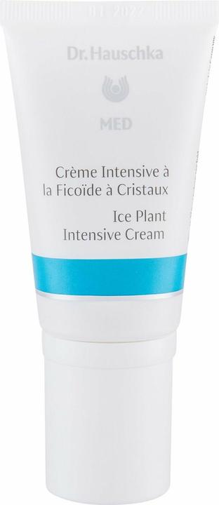 Dr. Hauschka med Intensive Creme Mittagsblume (50 ml, 24h Creme)