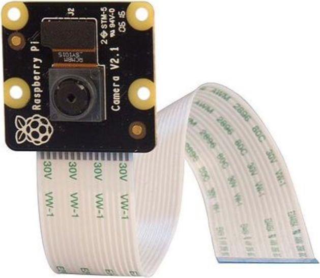 Immagine prodotto Raspberry Pi NoIR V2
