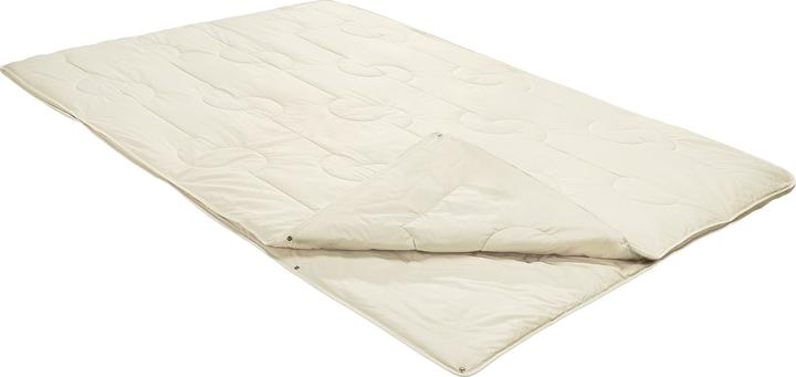 Produktbild F.A.N. Vier-Jahreszeiten-Bett (750 g, 135x200 cm)