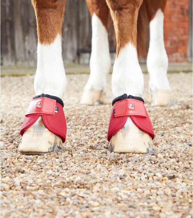 Actual product image Premier Equine Ballistic