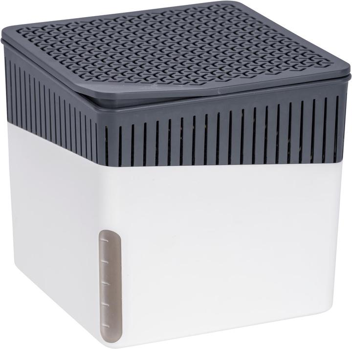 Wenko Cube (53 m²)