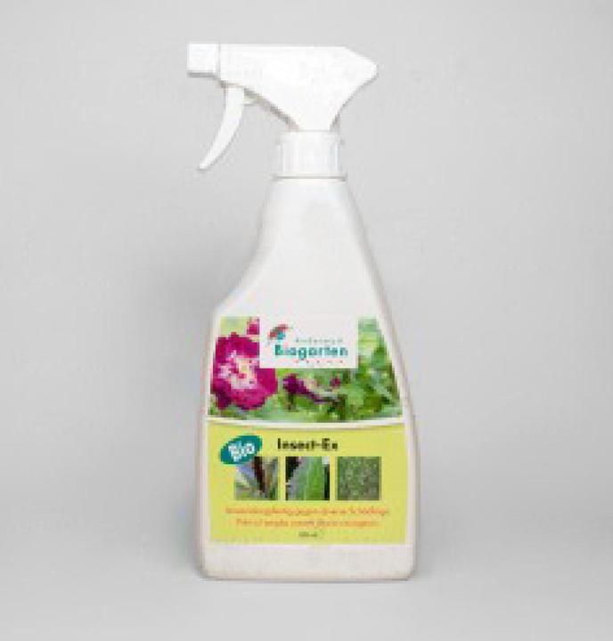 Produktbild Andermatt Biogarten Insect - Ex AF (Spinnmilben, Weissen Fliegen, Blattläuse)