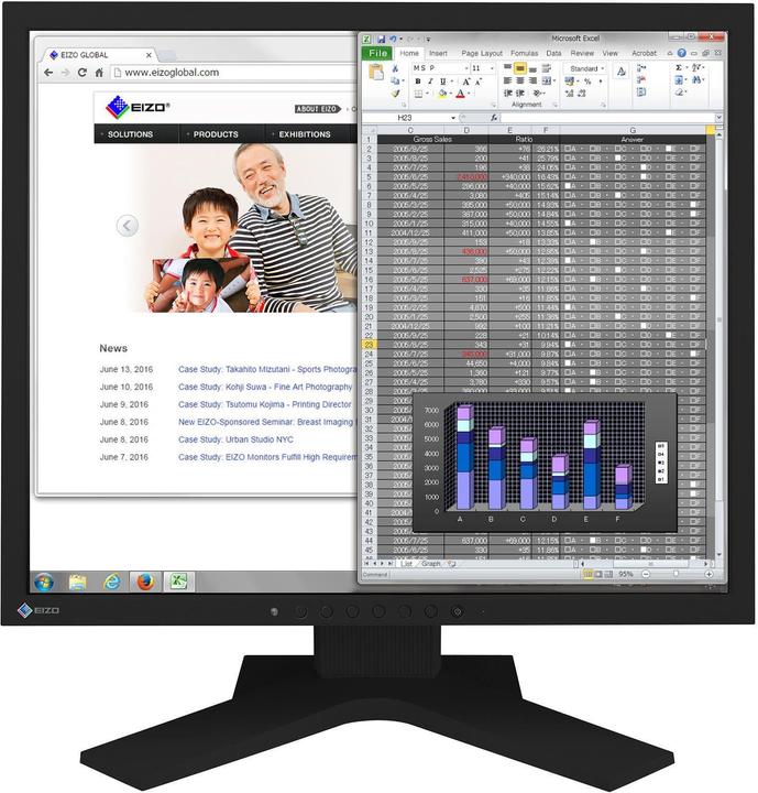 Eizo S1934 FlexScan (1280 x 1024 pixels, 19")