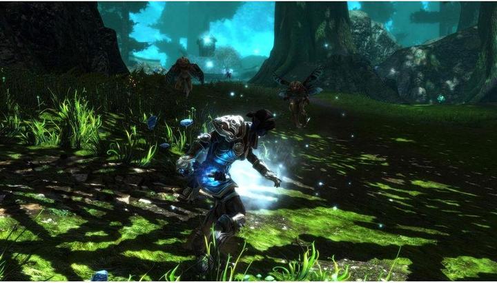 Immagine prodotto THQ Kingdoms of Amalur - Reckoning Definitive Edition (Xbox One X, Xbox Series X, IT, FR)