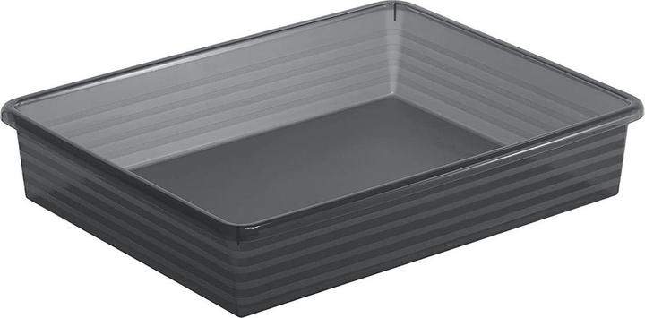 Actual product image Rotho Linus (34.5 x 27 x 6 cm, 0 l)