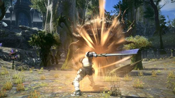 Produktbild Plaion Final Fantasy XIV - A Realm Reborn Pre-Paid Card (PC, DE)