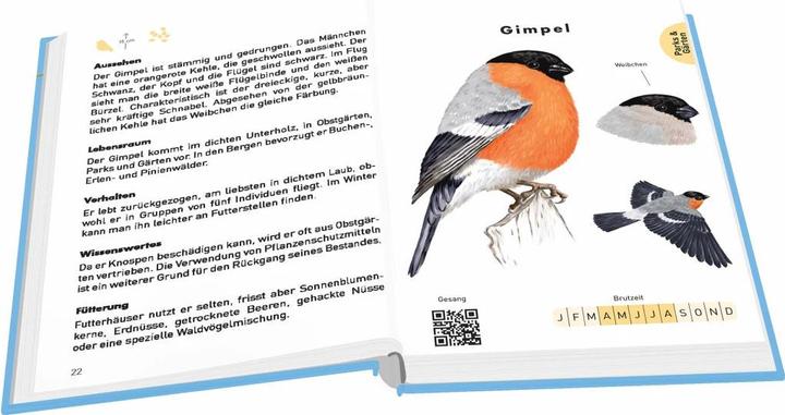 Produktbild Taschenführer Vögel (Deutsch, Thomas Launois, Svenja Tengs, 2020)