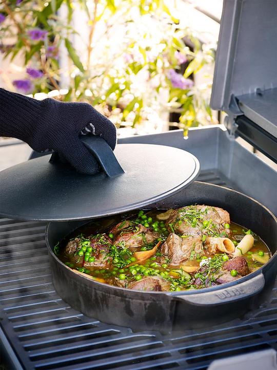 Immagine prodotto Weber Forno olandese