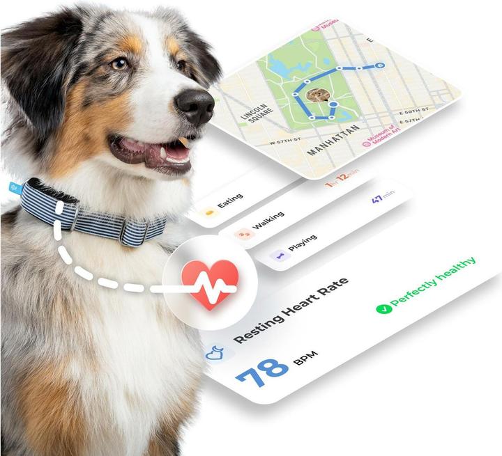 Image du produit Invoxia MiniTailz